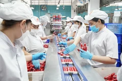 到2025年底,越南经济规模有望突破5050亿美元,正式迈入全球前30大经济体行列。图自越通社