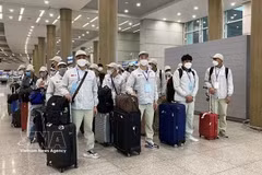 附图。图自越通社