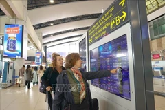 国际旅客在内排机场查看信息。图自越通社