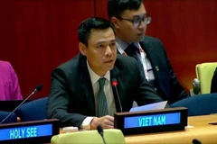 越南常驻联合国代表团团长邓黄江大使。图自越通社