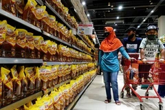 附图。图自AFP