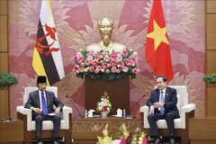 越南国会主席陈青敏会见文莱苏丹哈桑纳尔。图自越通社