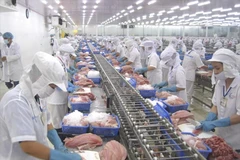 2025年最后几个月越南水产品出口形势有望逆势突破。图自Vietnam+