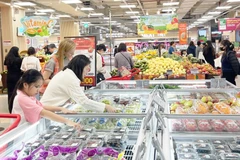 附图。图自越通社