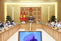 越南政府总理范明政与民营经济发展研究委员会举行工作会谈。图自越通社