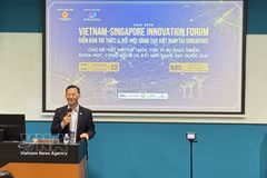 越南驻新加坡大使陈福英在论坛上发言。图自越通社