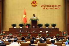 国会第十六届国会第一次会议现场。图自越通社