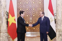 越南国家主席梁强与埃及总统阿卜杜勒·法塔赫·塞西。图自越通社
