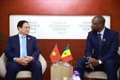 越南政府总理范明政会见塞内加尔总理奥斯曼·松科。图自越通社