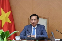 越南政府副总理裴青山。图自越通社