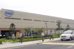 附图。图自越通社