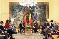 越南政府副总理裴青山会见比利时王国联邦众议院议长彼得·德鲁弗。图自越通社