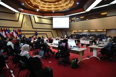会议场景。图自越通社