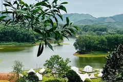游客来到差茶丘湖可以乘船环湖游览，登岛探访，还能参观一望无际的绿色茶山。图自VOV