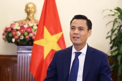越南外交部副部长邓黄江。图自越通社