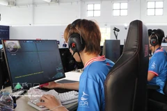 附图。图自越通社