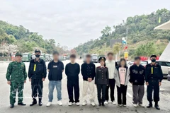 外籍涉案人员已依照法律规定被驱逐出越南领土。图自越通社