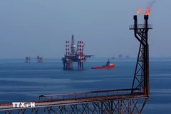 白虎油田上的各座钻井平台。图自越通社