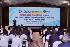 研讨会现场。图自越南工贸部