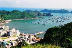 世界自然遗产下龙湾-吉婆群岛的美景。图自越通社