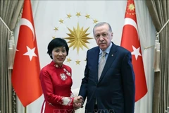 越南驻土耳其新任大使邓氏秋河和土耳其总统雷杰普·塔伊普·埃尔多安。图自越通社