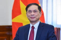 政府副总理裴青山担任APEC 2027国家委员会主席。图自越通社
