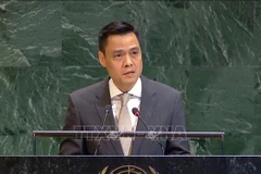 越南常驻联合国代表团团长、特命全权大使邓黄江。图自越通社