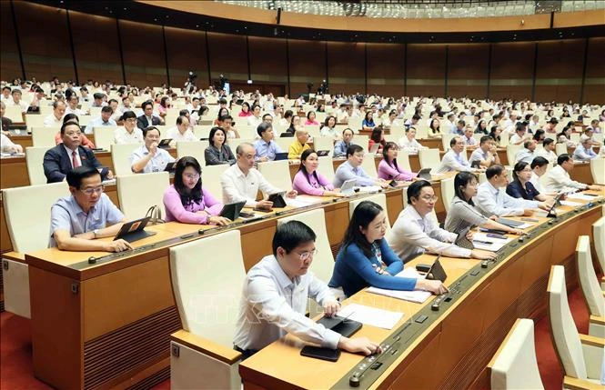 国会代表进行投票。图自越通社