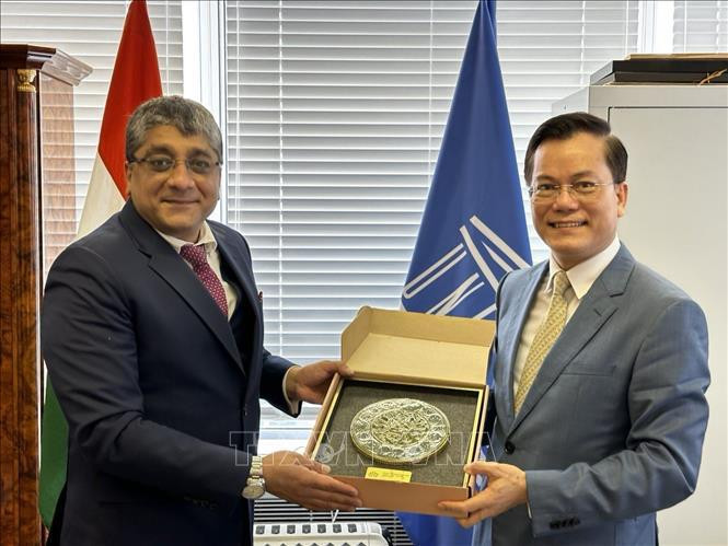 越南外交部副部长、联合国教科文组织国家委员会主任何金玉(右）向世界遗产委员会主席维沙尔·夏尔马送礼品。图自越通社