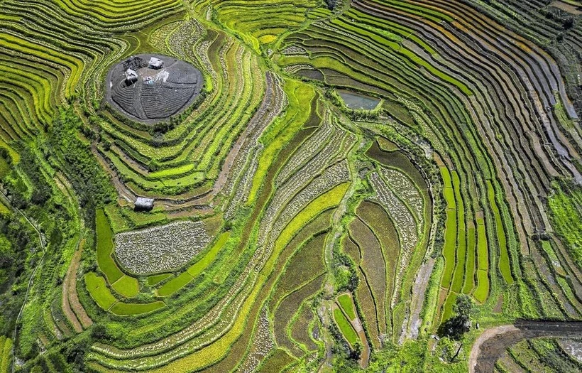 和平省乐山县沔隊乡美景梯田层层叠叠美不胜收。图自越通社