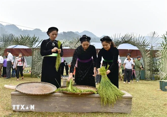 做扁米首先要选好稻谷。图自越通社