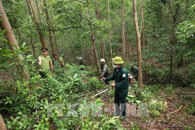 160756-gia-lai-tang-cuong-cong-tac-bao-ve-rung.jpg