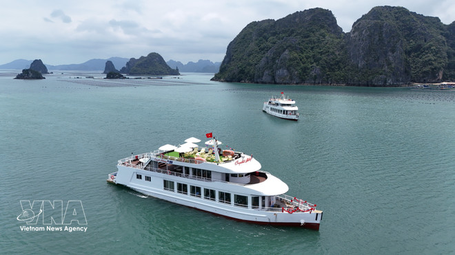 vnanet-potal-quang-ninh-nang-cao-chat-luong-trai-nghiem-du-lich-tren-vinh-bai-tu-long-8013946.jpg