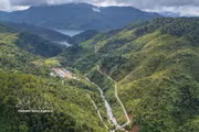 岘港：唤醒园林业与山区经济价值