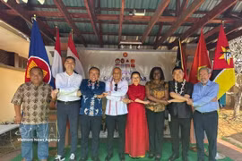 东盟各国大使与驻马普托外交使团代表在美食节上合影，展现团结友好精神。越通社发