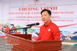 越南红十字会中央委员会副主席阮士长在集会上发言。图片来源：越通社