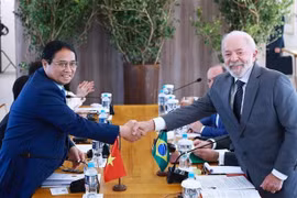越南政府总理范明政与巴西总统卢拉握手。图自越通社