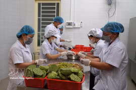 同塔省香莲生产与贸易有限责任公司的莲花相关产品生产活动。图片来源：越通社