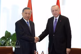 越共中央总书记、国家主席苏林与土耳其总统埃尔多安握手。图片来源：越通社