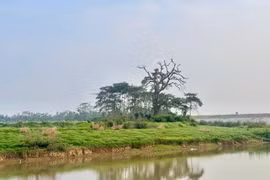 多福乡的美丽景观，可作为举办露营、户外艺术表演等多种体验式旅游活动的场所。 照片来源：baomoi.com