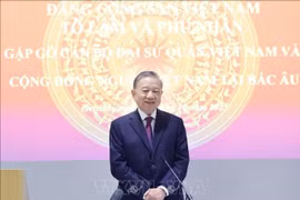 苏林总书记在见面会上发表讲话。图自越通社