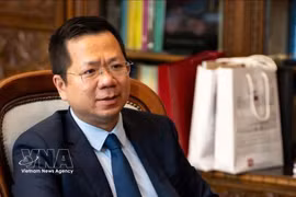 越南驻波兰大使何黄海。越通社发