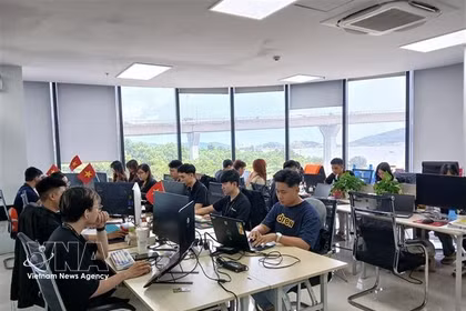 加大对半导体产业的投资力度。图自越通社
