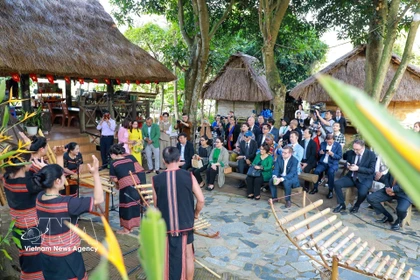 向国际友人推介越南文化特色。图自越通社
