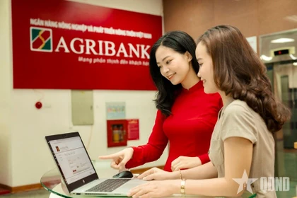 越南农业与农村发展银行（Agribank）工作人员引导客户在数字化渠道进行安全交易。图自人民军报