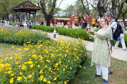 顺化市富春坊的春节鲜花装饰空间吸引众多国际游客参观拍照。图自越通社