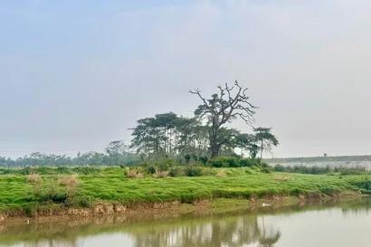 多福乡的美丽景观，可作为举办露营、户外艺术表演等多种体验式旅游活动的场所。 照片来源：baomoi.com