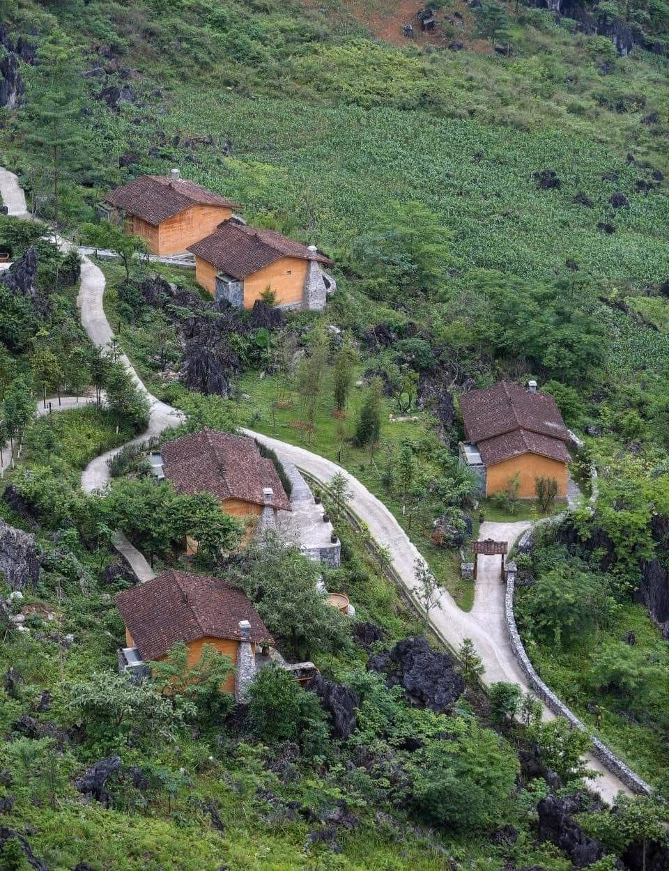 dlcd10.jpg