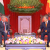 越共中央总书记苏林会见约旦哈希姆王国国王阿卜杜拉二世·伊本·侯赛因。图自越通社