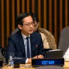 越南常驻联合国代表团团长杜雄越大使。图自越通社